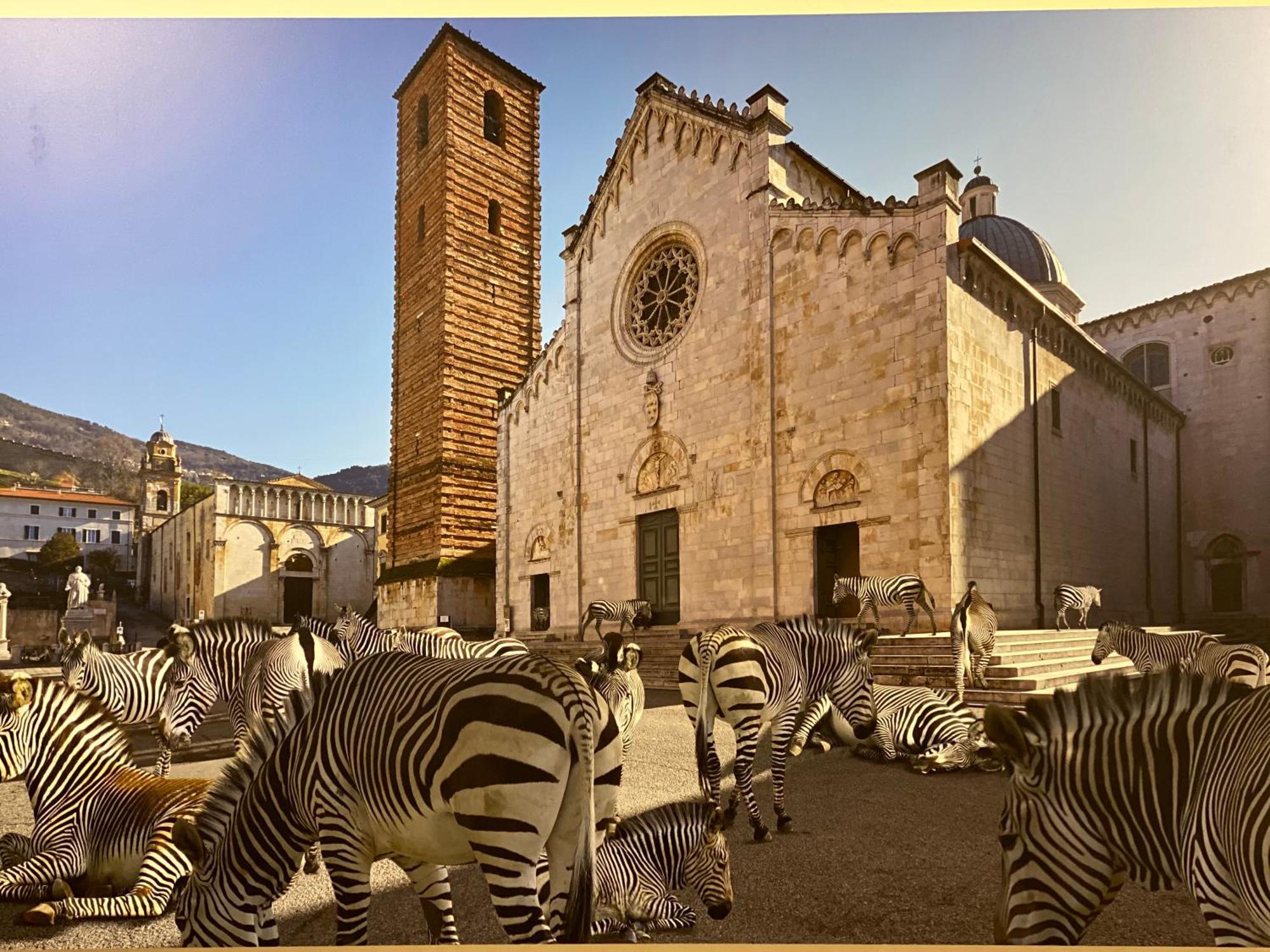 Pietrasanta Ai Teatri Bed and Breakfast Exteriör bild